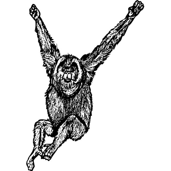 MONK005 Thumbnail