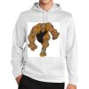 Sport Wick ® Fleece Hooded Pullover Thumbnail