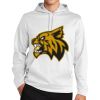Sport Wick ® Fleece Hooded Pullover Thumbnail