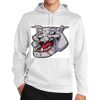 Sport Wick ® Fleece Hooded Pullover Thumbnail