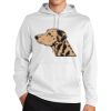Sport Wick ® Fleece Hooded Pullover Thumbnail