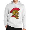 Sport Wick ® Fleece Hooded Pullover Thumbnail