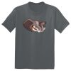 The Concert Tee ® Thumbnail