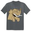 The Concert Tee ® Thumbnail